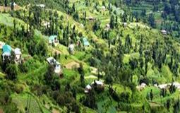 BreathtakingIndia Exclusive: Chail Tours | Himachal Pradesh Tours - Himachal Soujourn