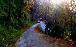 BreathtakingIndia Exclusive: Chail Things to Do | Himachal Pradesh Things to Do - Trekking in Chail