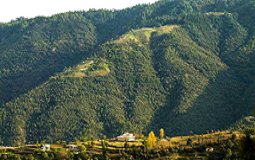 BreathtakingIndia Exclusive: Chail Things to Do | Himachal Pradesh Things to Do - Chail Wildlife Sanctuary